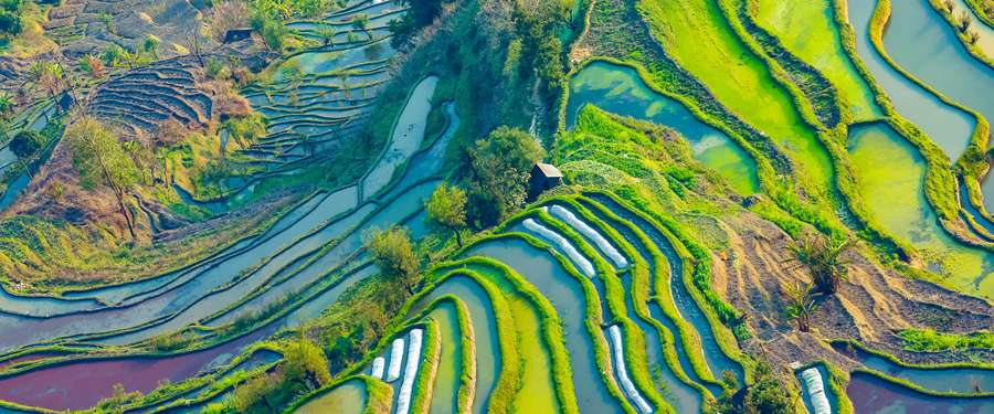 shetuwang500661239wxyunnanyuanyangtitianhangpainiaotuqiyeshangyong-333