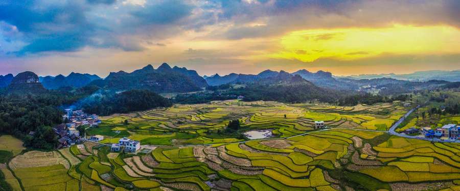 shetuwang501594198wxyunnanluopingqiushouhangpaiqiyeshangyong-291