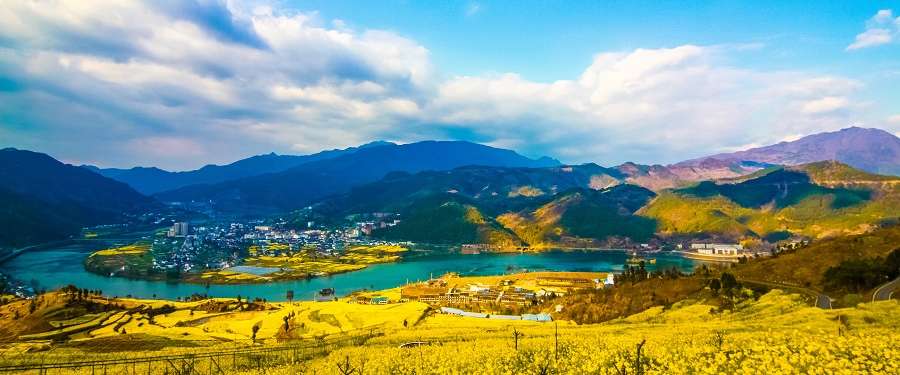 shetuwang502413444guangyuanyoucaihuahaiqiyeshangyong-854